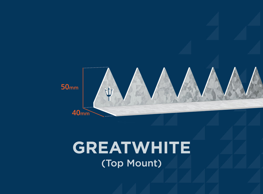 Greatwhite (Top mount)