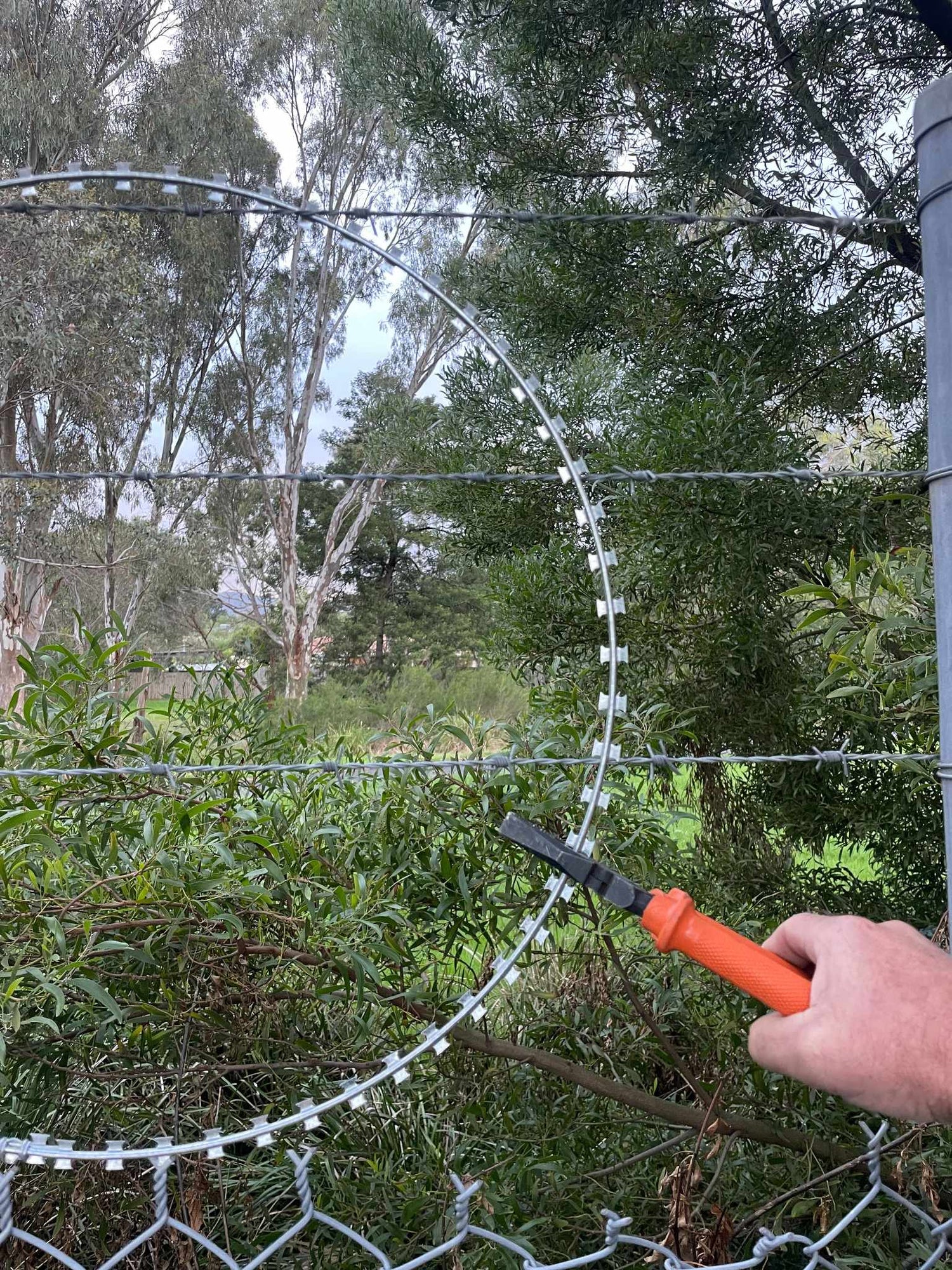 Barb Razor Wire with Cutters