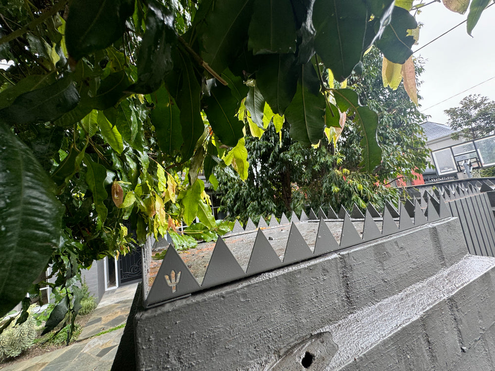 Crown spikes - Great white - 300 , 350 , 400 , 500 or 600mm squares.