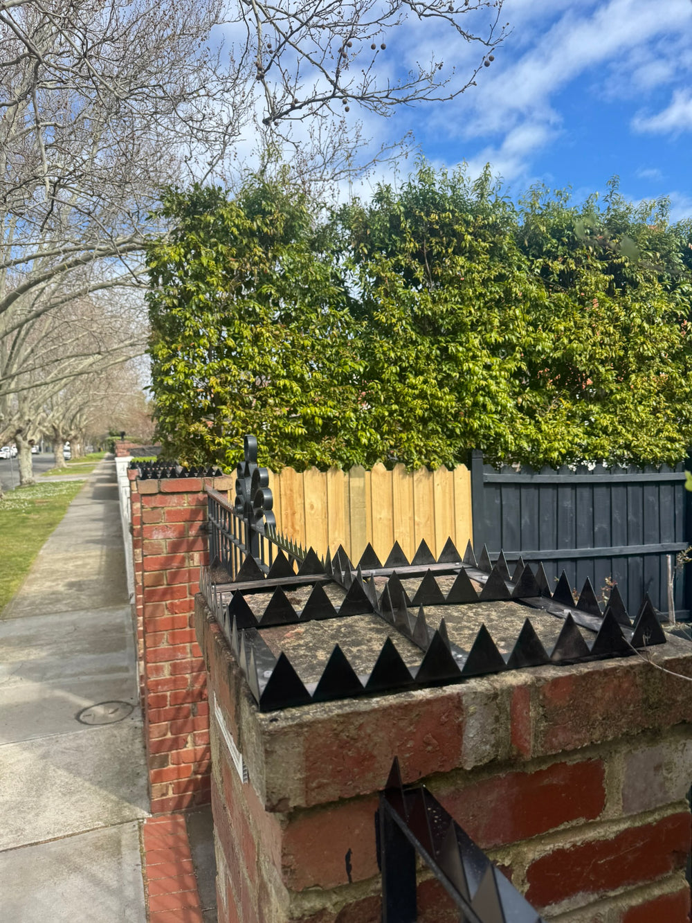 Crown spikes - Great white - 300 , 350 , 400 , 500 or 600mm squares.