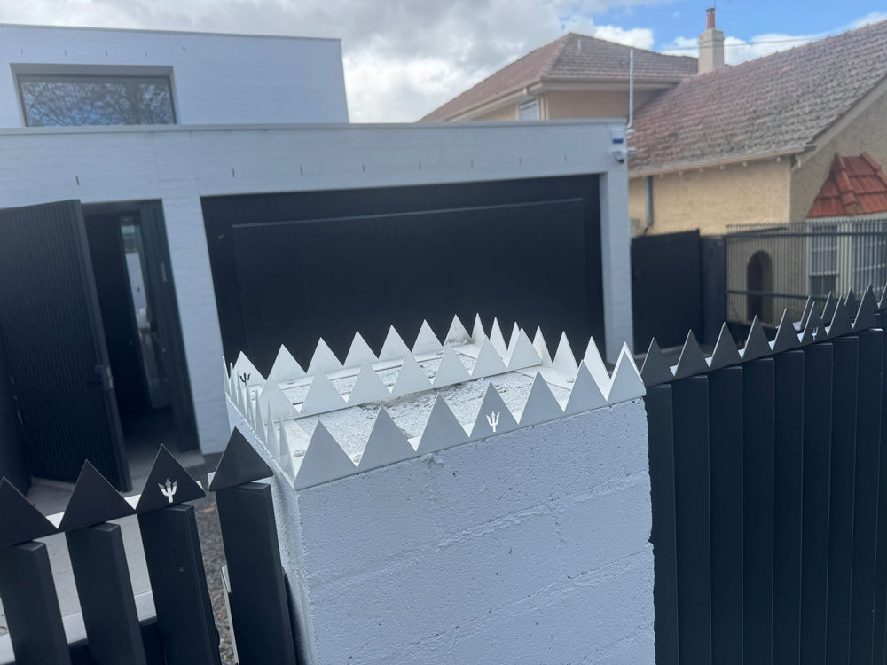 Crown spikes - Great white - 300 , 350 , 400 , 500 or 600mm squares.