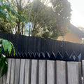 Babyshark (Pest deterrent) - image 6