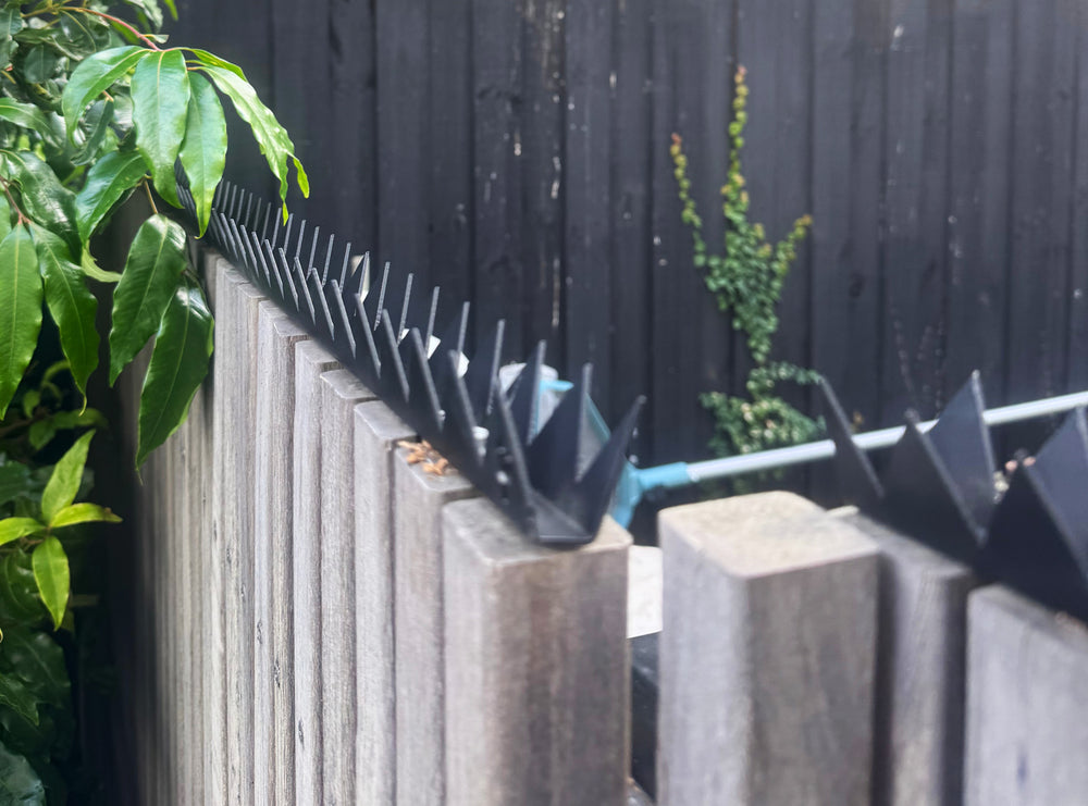 Babyshark (Pest deterrent)
