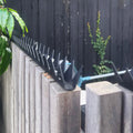 Babyshark (Pest deterrent) - image 5