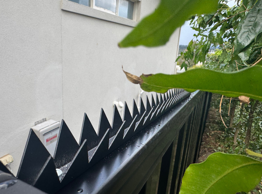 Babyshark (Pest deterrent)